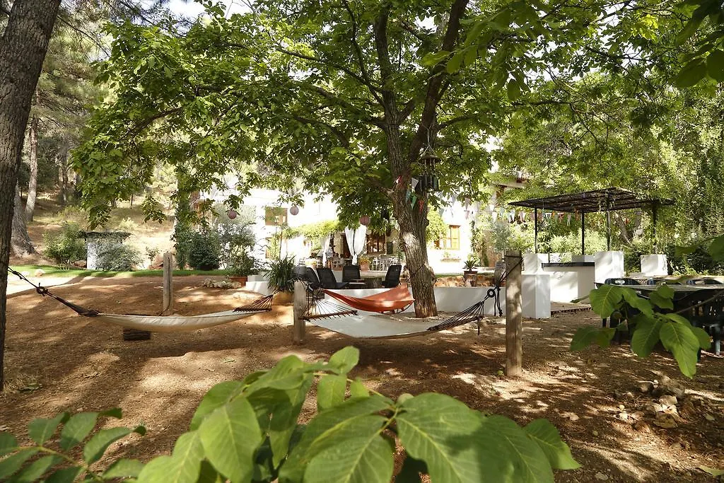 Cortijo De Ramon Guest House Cortijos Nuevos
